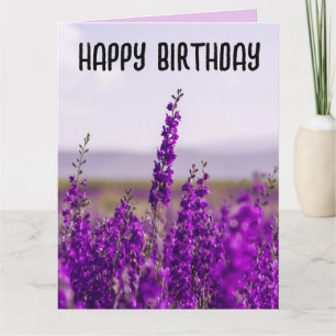 LAVENDER BIRTHDAY GREETING CARDS KORT