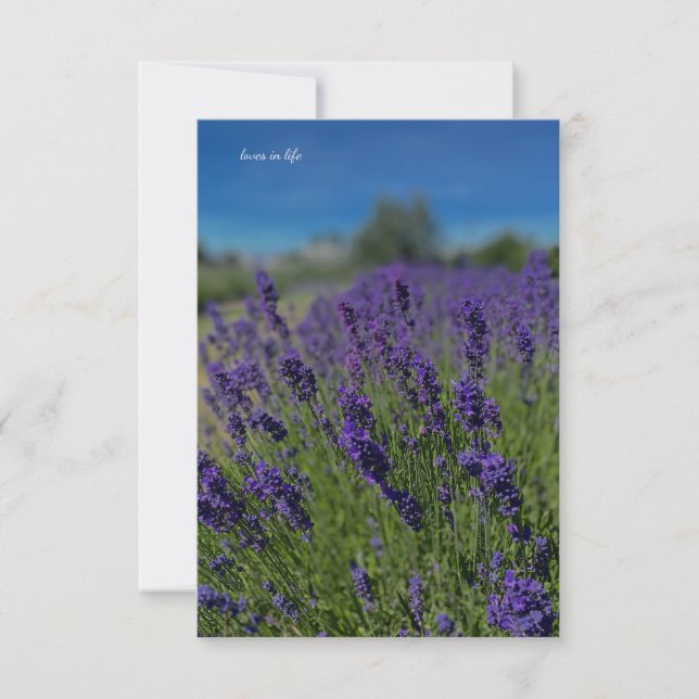 Lavender & Blå himmel Anteckningskort (Framsida)