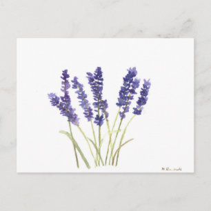 Lavender Blavender fransk lavender Vykort
