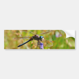 Lavender blomdrake bildekal