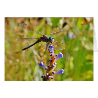 Lavender blomdrake hälsningskort