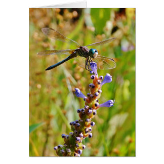 Lavender blomdrake hälsningskort