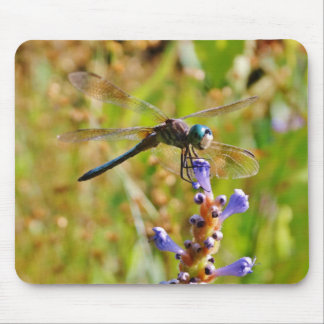 Lavender blomdrake musmatta