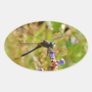Lavender blomdrake ovalt klistermärke
