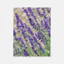 Lavender Blommor