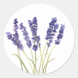 Lavender Blommor fransk Lavender Vattenfärgsbeskaf Runt Klistermärke