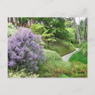 Lavender-blommor i Nya Zeeland. Vykort