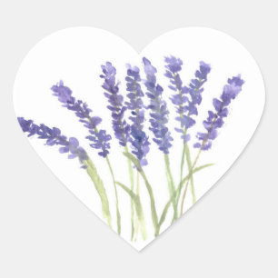Lavender-blommor Lila Blommigt Vattenfärg Hjärtformat Klistermärke