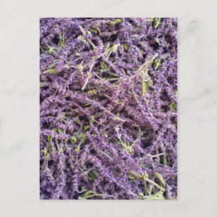 Lavender Blommor mönster Vykort