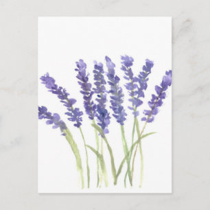 Lavender Blommor Vykort