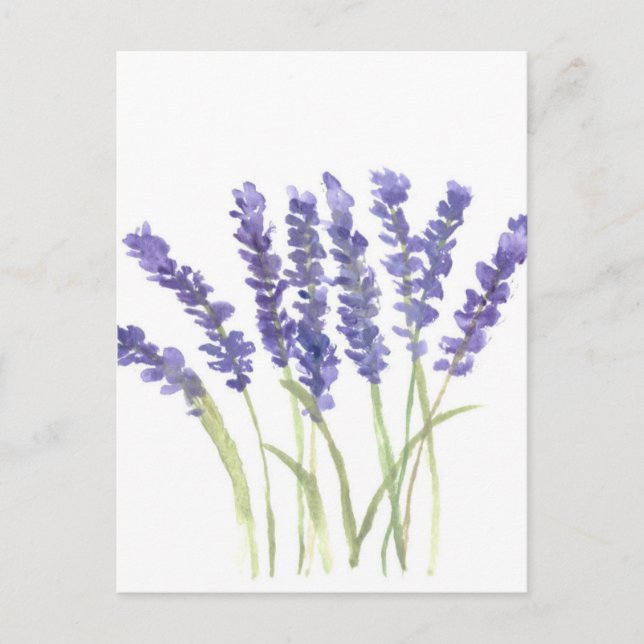 Lavender Blommor Vykort (Framsida)