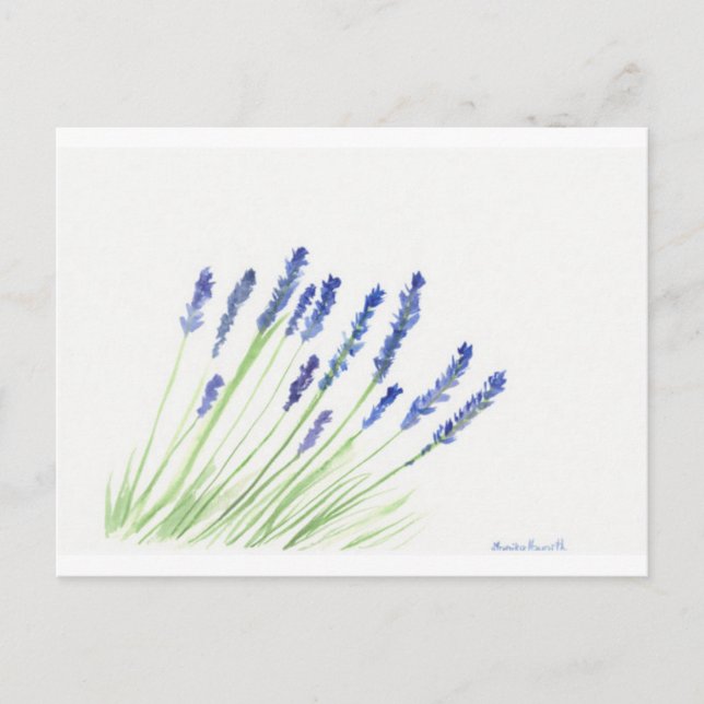 Lavender Blommor Vykort (Framsida)