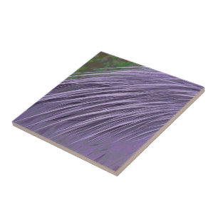 Lavender Blue Feathers Kakelplatta