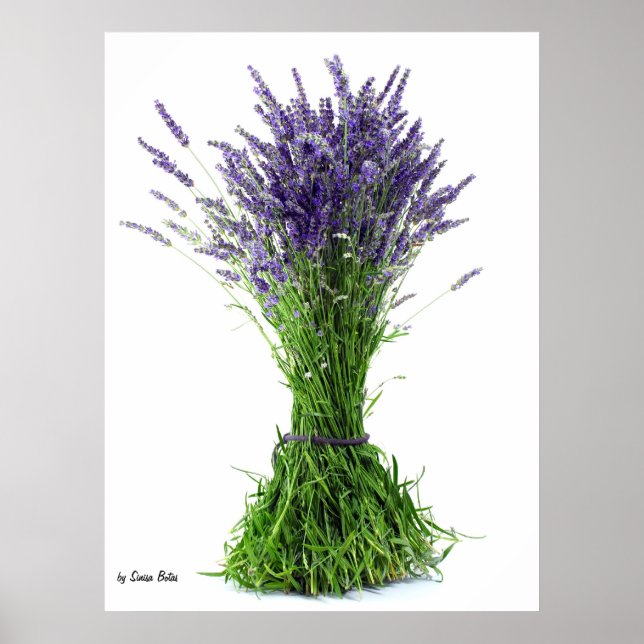 Lavender bouquet poster (Framsidan)