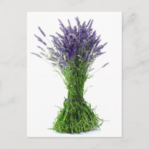 Lavender bouquet vykort