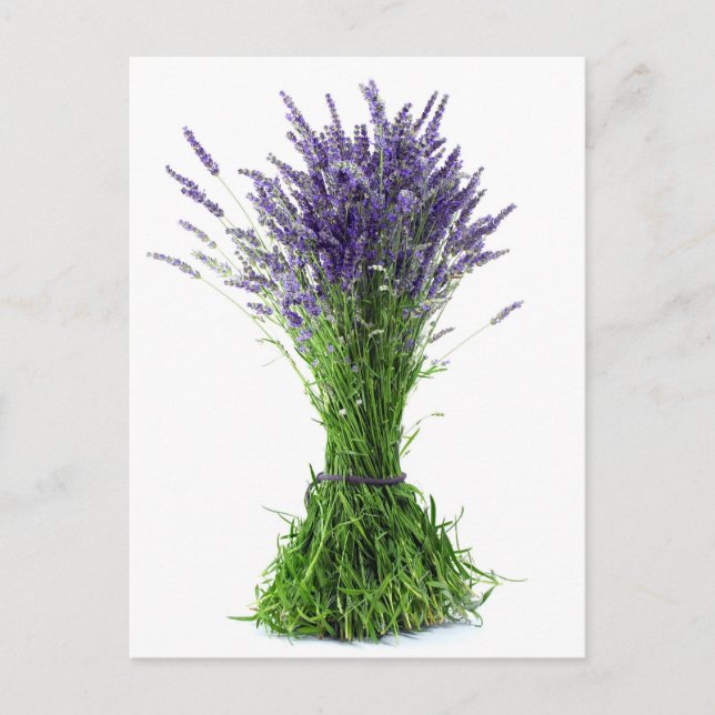 Lavender bouquet vykort (Framsida)