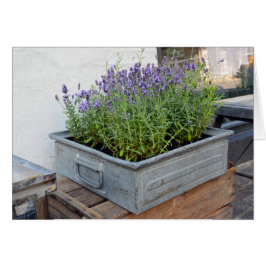 Lavender-boxen på Flower Market Hälsningskort