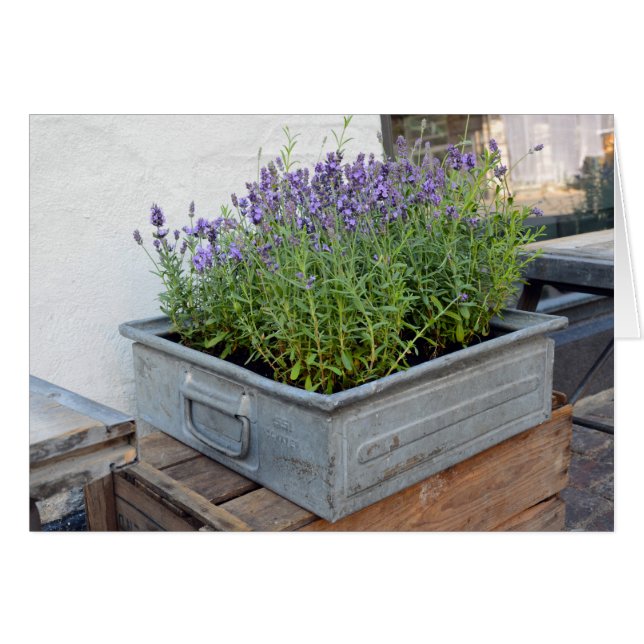 Lavender-boxen på Flower Market Hälsningskort (Framsidan Horizontal)