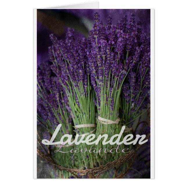 Lavender Bunch Hälsningskort (Framsidan)