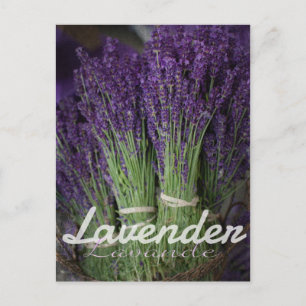 Lavender Bunch Vykort