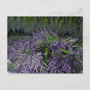 Lavender Bunches Vykort