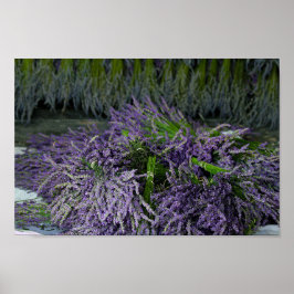 Lavender Bundles Poster