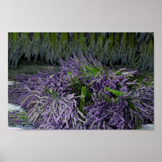 Lavender Bundles Poster (Framsidan)