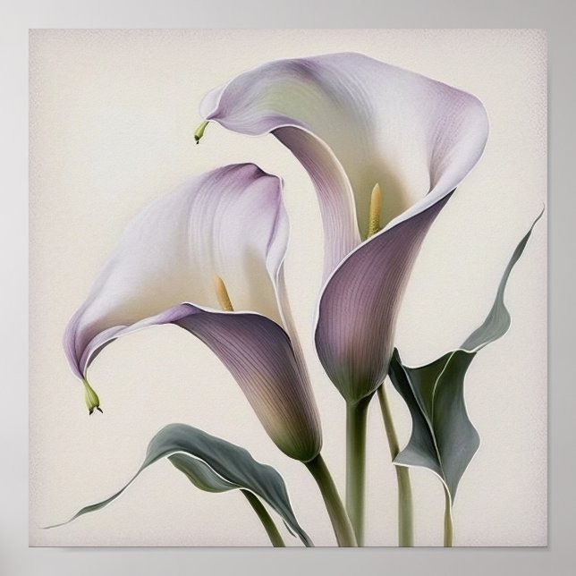 Lavender Calla Lilies Lily Flower Art Print Poster (Framsidan)