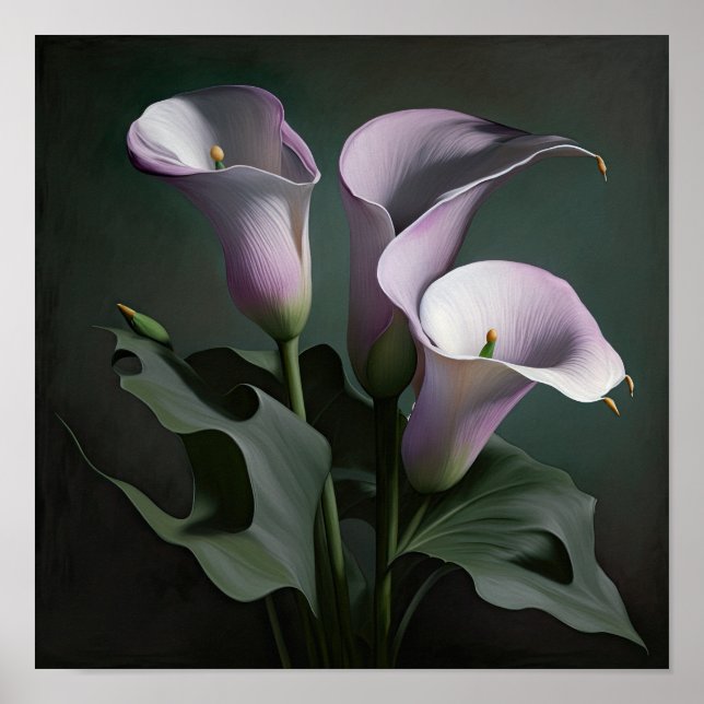 Lavender Calla Lilies Lily Flower Art Print Poster (Framsidan)