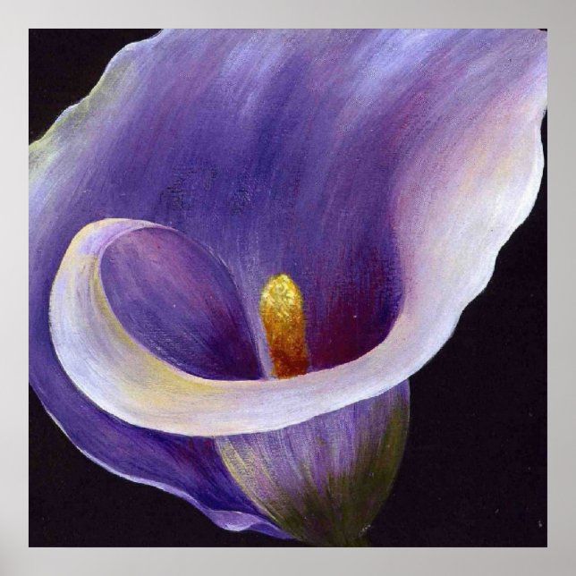 Lavender Calla Lily Poster (Framsidan)