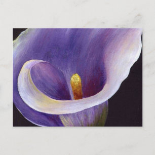 Lavender Calla Lily Vykort
