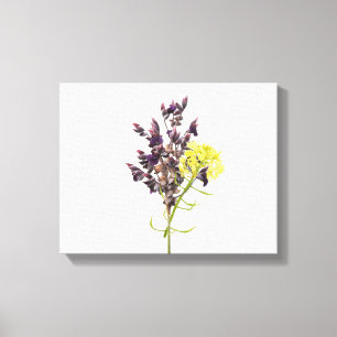 Lavender Canvastryck