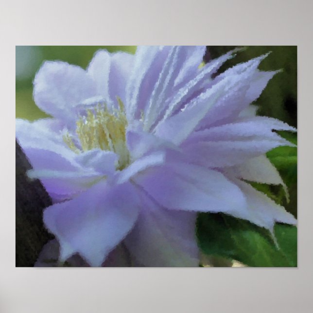 Lavender Clematis Flower Art Photo Painting Poster (Framsidan)
