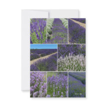 Lavender Collage