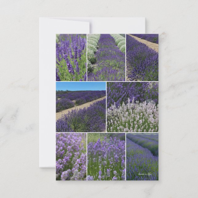 Lavender Collage Anteckningskort (Framsida)
