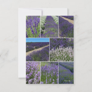 Lavender Collage Anteckningskort