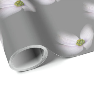Lavender Cosmos blomma på Grått Presentpapper