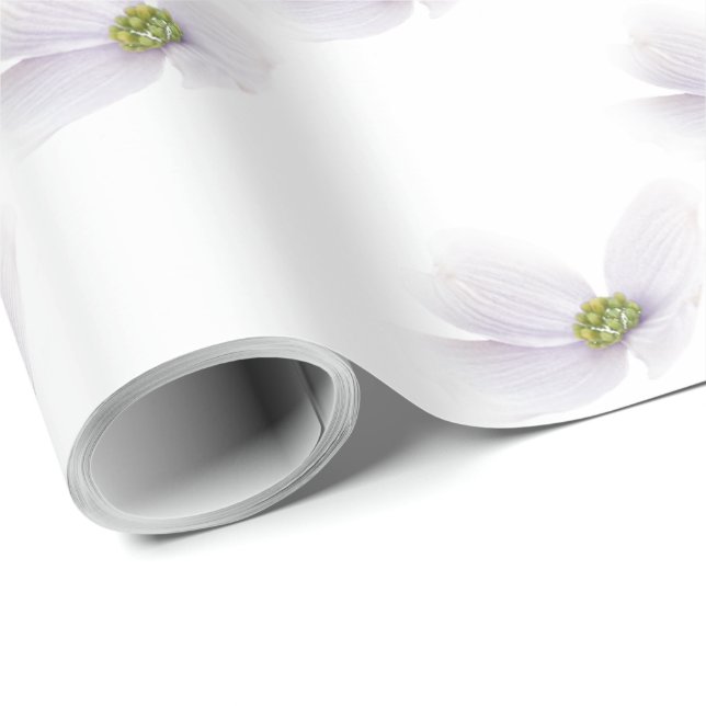 Lavender Cosmos blomma på White Presentpapper (Rullad Hörn)