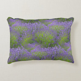 Lavender Cotton-accent Pillow 16 x 12 tum Prydnadskudde