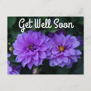 Lavender Dahlia Lilac kommer snart och vykort