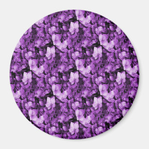 Lavender Delight.... Magnet