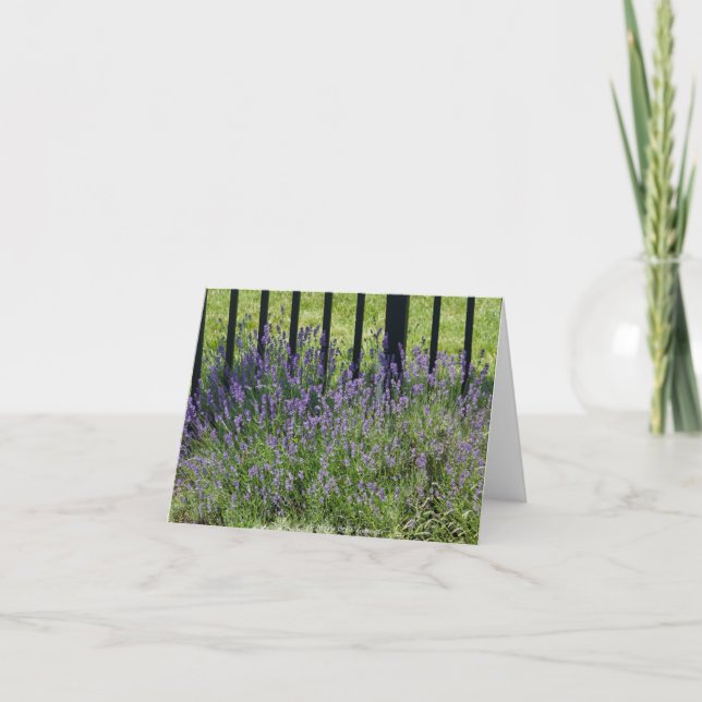 Lavender Delight Tack Kort (Framsida)