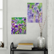 Lavender Dreamscapes: En Duet of Lila Serenity