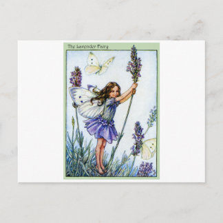 Lavender Fairy Vykort