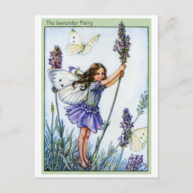 Lavender Fairy Vykort (Framsida)