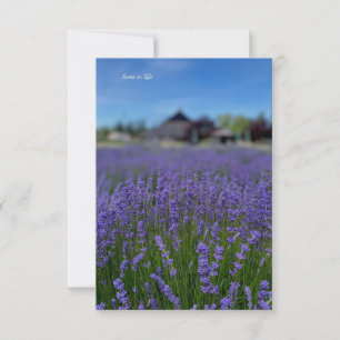 Lavender Fält & Barn Anteckningskort