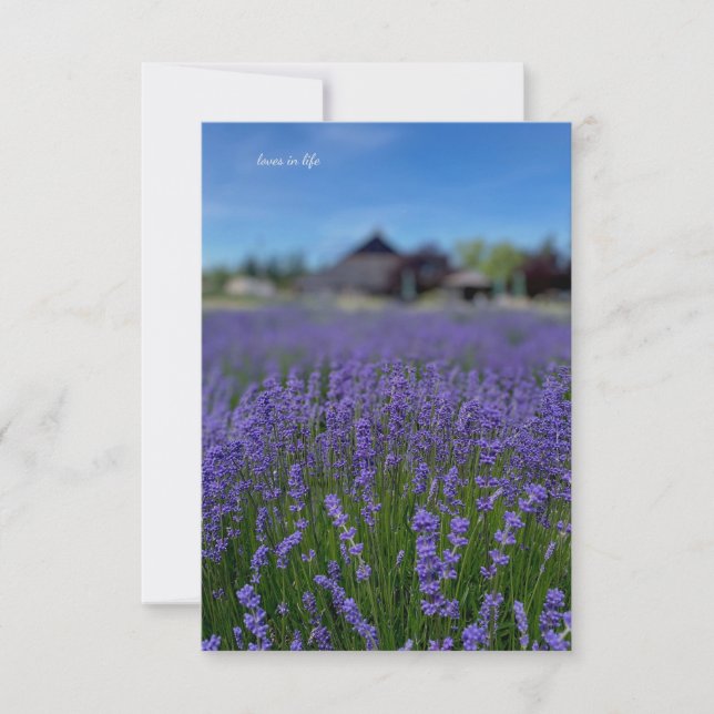 Lavender Fält & Barn Anteckningskort (Framsida)