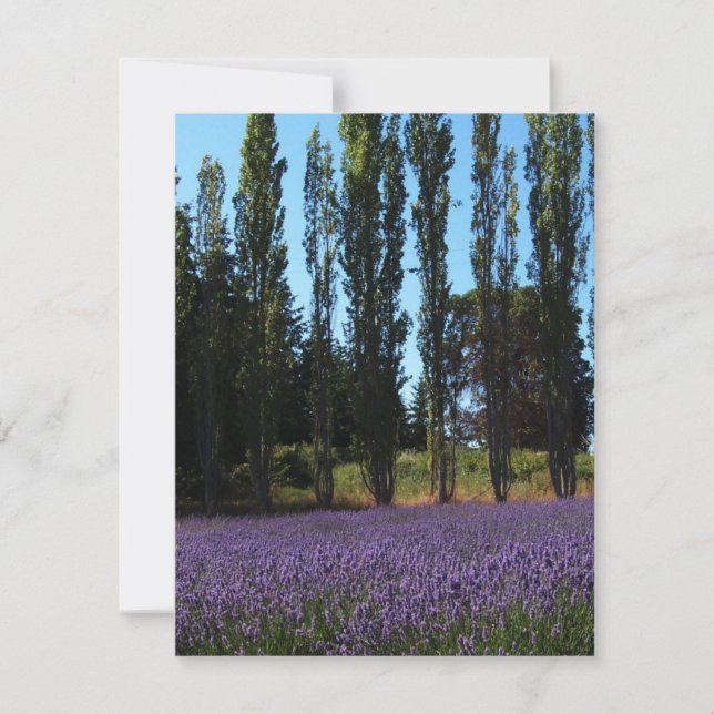 Lavender Fält Bible Verse Encouragement Card Kort (Framsida)