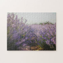 Lavender Fält bygger Jigszle Puzzle