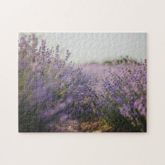 Lavender Fält bygger Jigszle Puzzle Pussel
